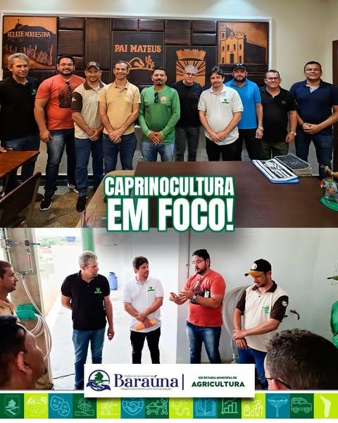 Caprinocultura em Alta: Novos Caminhos para o Leite de Baraúna!