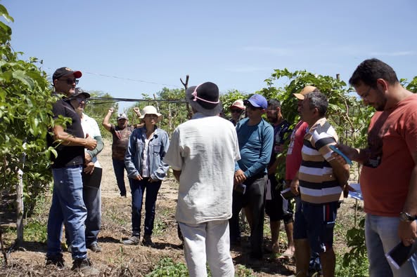 Ontem tivemos o início do curso de Fruticultura – Cultivo de Maracujá!